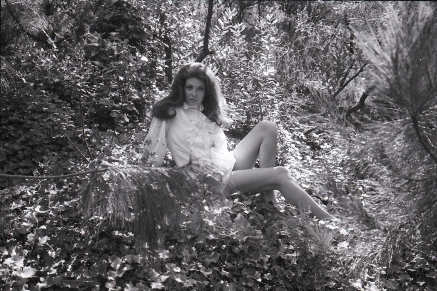 Gayle Hunnicutt in the Woods